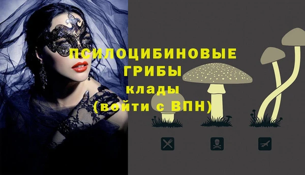 мяу мяу мука Новодвинск