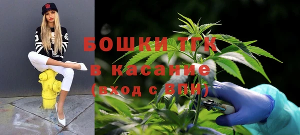 мяу мяу мука Новодвинск