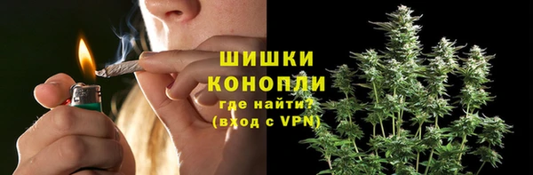PSILOCYBIN Новозыбков